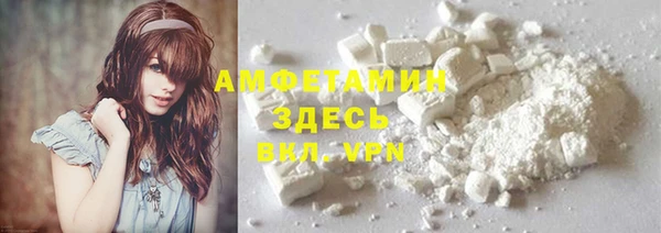 прущие грибы Дмитровск