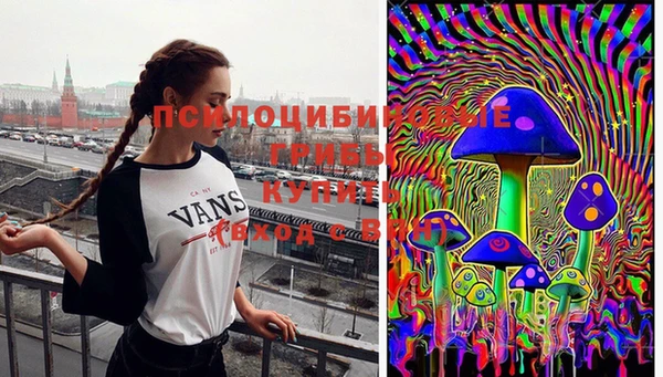 гидра Пересвет