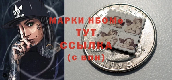 соль ск Гусев