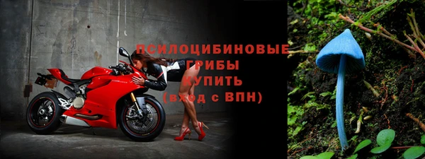гидра Пересвет