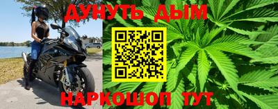 не бодяженный Сланцы