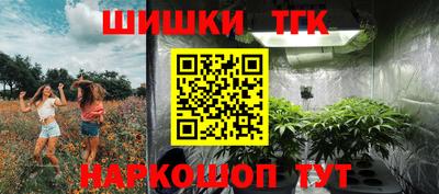 mdpv Славгород