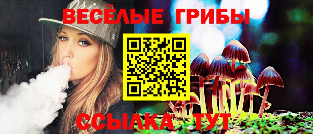 Слободской  Псилоцибиновые грибы ЛСД  Вход с VPN 
